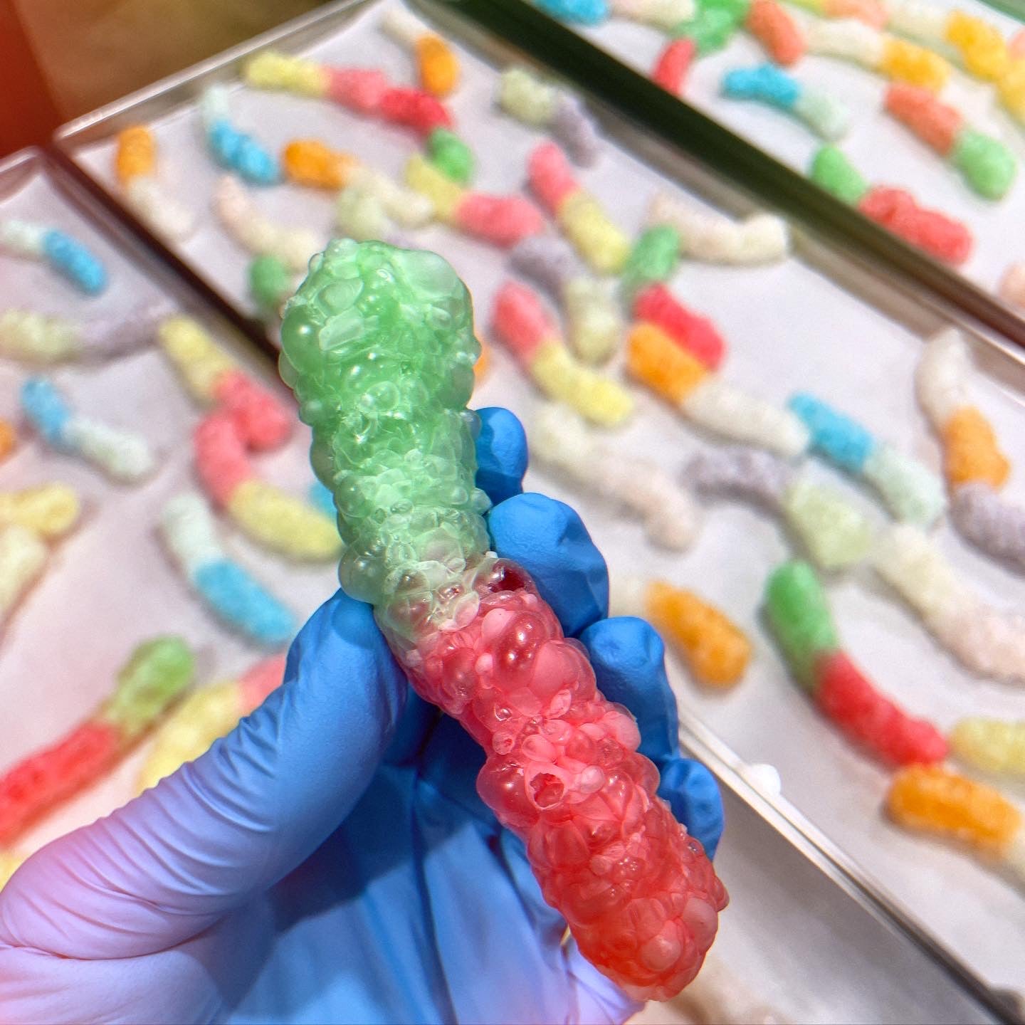 Freeze-dried Gummy Worms